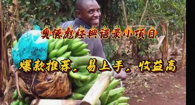 （11030期）奥德彪经典语录小项目，爆款推荐，易上手，收益高-立业有术