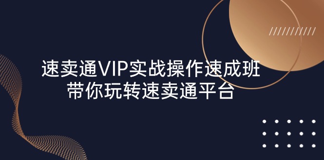 （10935期）速卖通 VIP实战操作-速成班，带你玩转速卖通平台（23节）-立业有术