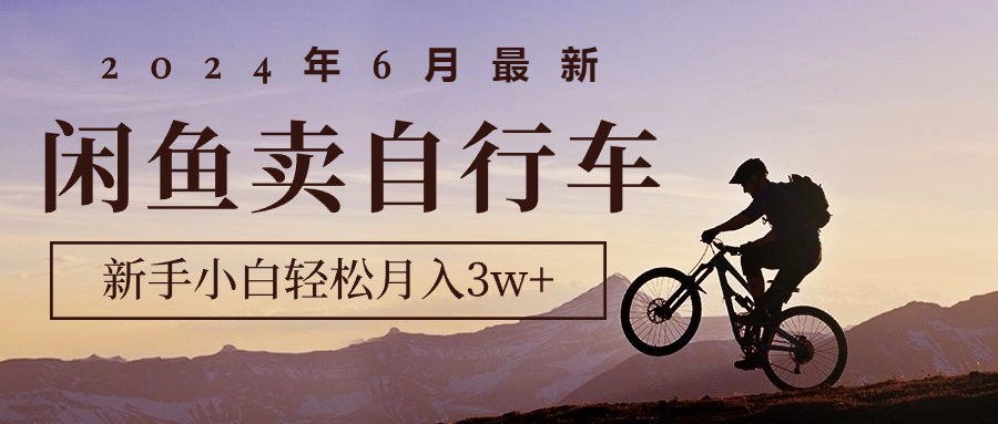 （10915期）2024年6月最新闲鱼卖自行车，新手小白轻松月入3w+项目-立业有术
