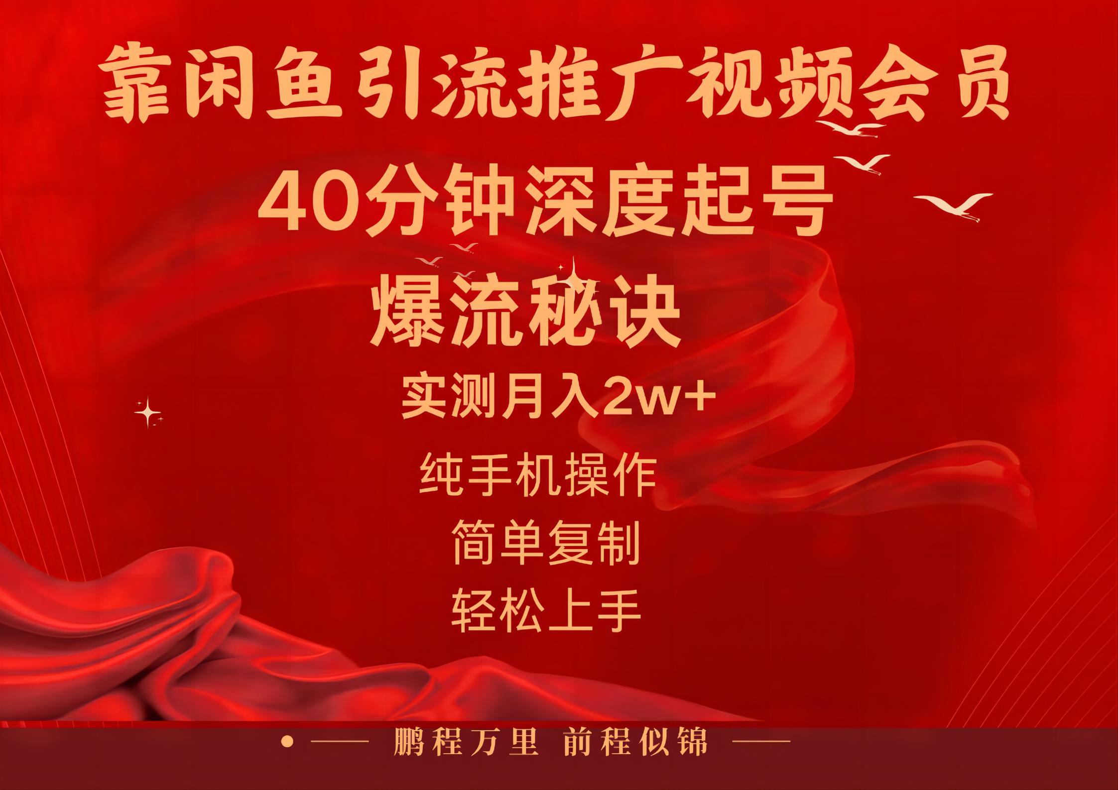 （10896期）闲鱼暴力引流推广视频会员，能做到日入2W+，操作简单-立业有术