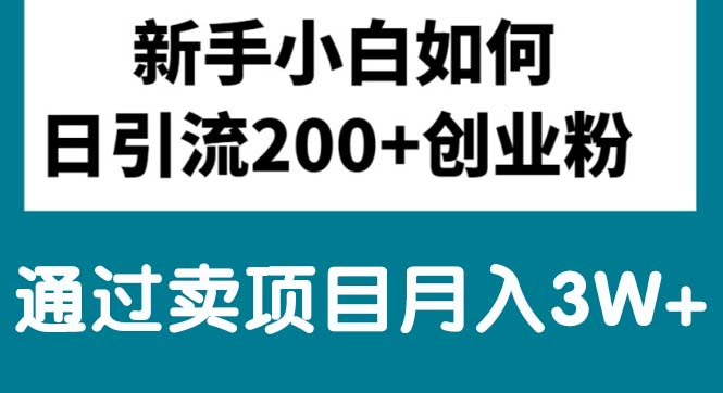 （10843期）新手小白日引流200+创业粉,通过卖项目月入3W+-立业有术