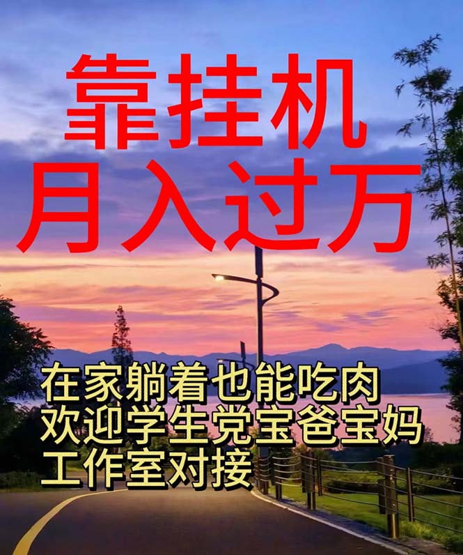 （10838期）靠挂机，日入1000+，躺着也能吃肉，适合宝爸宝妈学生党工作室，电脑手…-立业有术