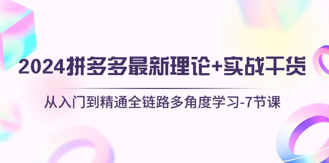 （10816期）2024拼多多 最新理论+实战干货，从入门到精通全链路多角度学习-7节课-立业有术