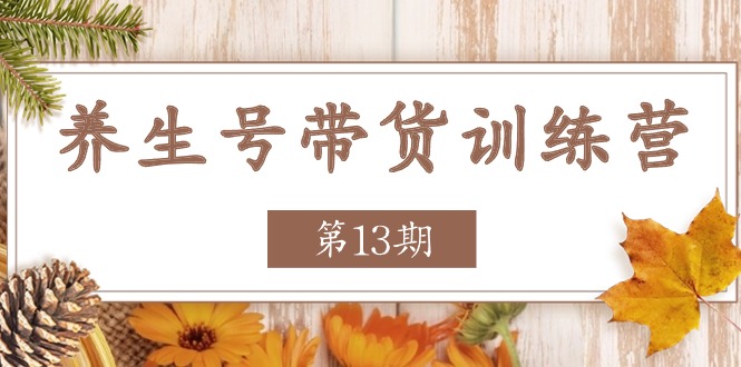 （11275期）养生号-带货训练营【第13期】收益更稳定的玩法，让你带货收益爆炸-立业有术