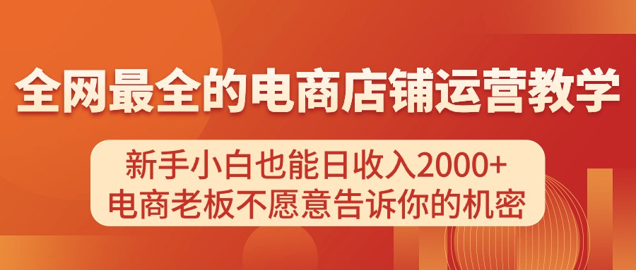 （11266期）电商店铺运营教学，新手小白也能日收入2000+，电商老板不愿意告诉你的机密-立业有术
