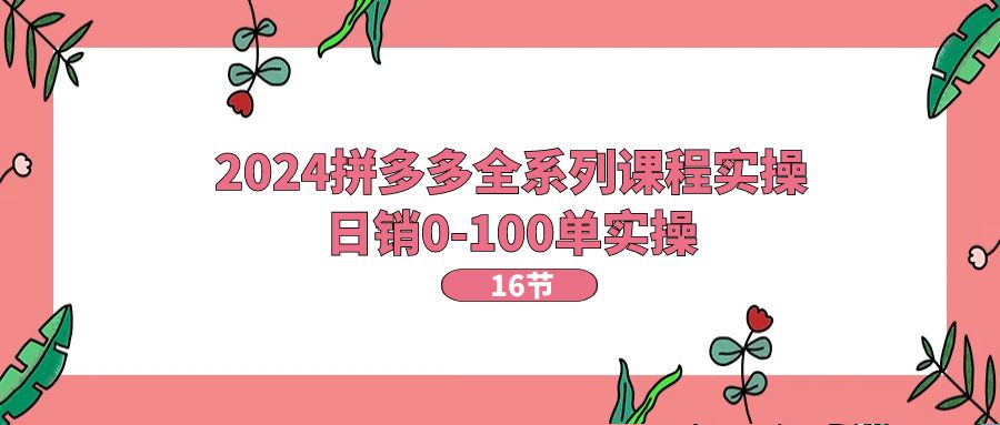 （11222期）2024拼多多全系列课程实操，日销0-100单实操【16节课】-立业有术