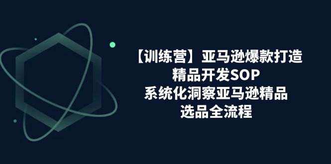 （11210期）【训练营】亚马逊爆款打造之精品开发SOP，系统化洞察亚马逊精品选品全流程-立业有术
