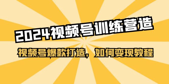（11135期）2024视频号训练营，视频号爆款打造，如何变现教程（20节课）-立业有术