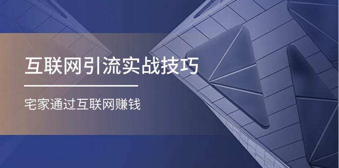 （11108期）互联网引流实操技巧(适合微商，吸引宝妈)，宅家通过互联网赚钱（17节）-立业有术