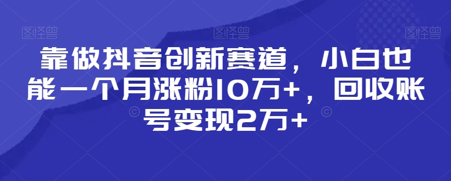 靠做抖音创新赛道，小白也能一个月涨粉10万+，回收账号变现2万+【揭秘】-立业有术