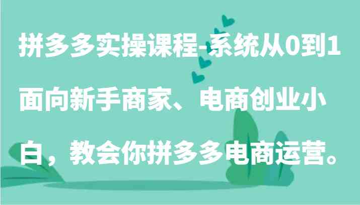 拼多多实操课程-系统从0到1，面向新手商家、电商创业小白，教会你拼多多电商运营。-立业有术