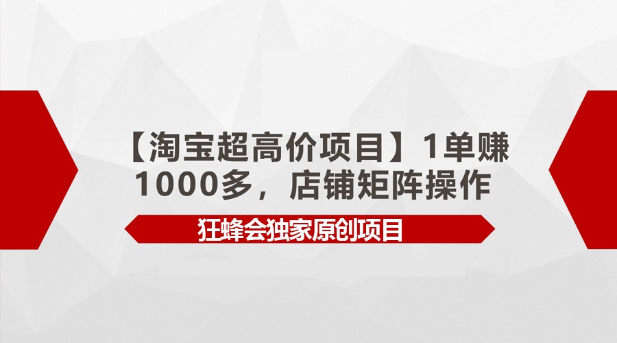 【淘宝超高价项目】1单赚1000多，店铺矩阵操作-立业有术