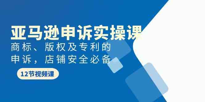 亚马逊申诉实战课，商标、版权及专利的申诉，店铺安全必备-立业有术