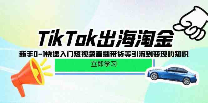 TikTok出海淘金，新手0-1快速入门短视频直播带货等引流到变现的知识-立业有术