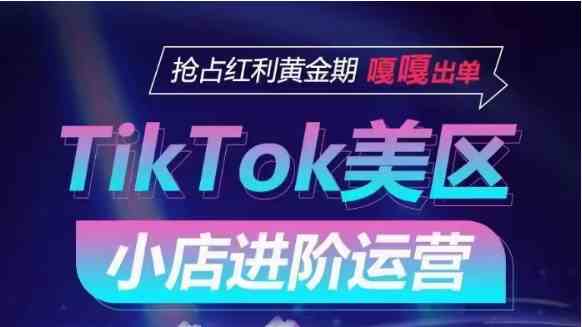 TikTok Shop美区小店进阶运营，快速掌握各流量渠道玩法，抢占红利黄金期，嘎嘎出单-立业有术