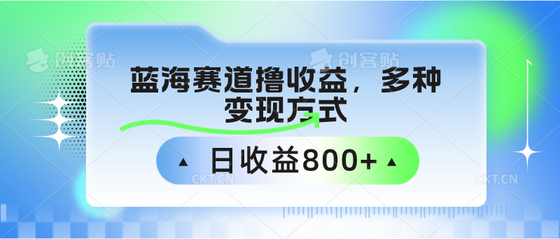 蓝海赛道撸收益，多种变现方式，日收益800+-立业有术