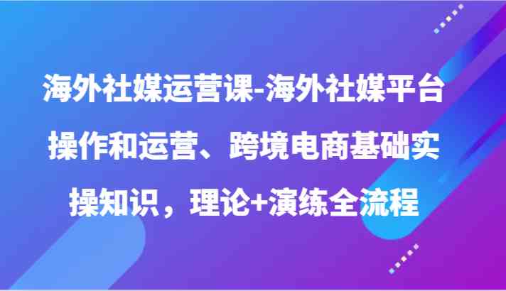 海外社媒运营课-海外社媒平台操作和运营、跨境电商基础实操知识，理论+演练全流程-立业有术