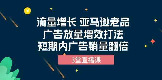 流量增长 亚马逊老品广告放量增效打法，短期内广告销量翻倍（3堂直播课）-立业有术