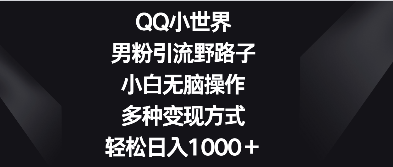 QQ小世界男粉引流野路子，小白无脑操作，多种变现方式轻松日入1000＋-立业有术