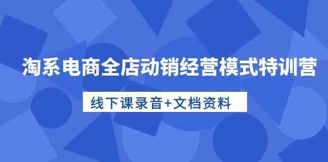 淘系电商全店动销经营模式特训营，线下课录音+文档资料-立业有术