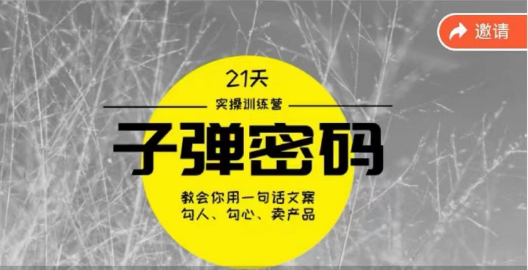 《子弹密码训练营》-用一句话文案勾人勾心卖产品，21天学到顶尖文案大师策略和技巧-立业有术