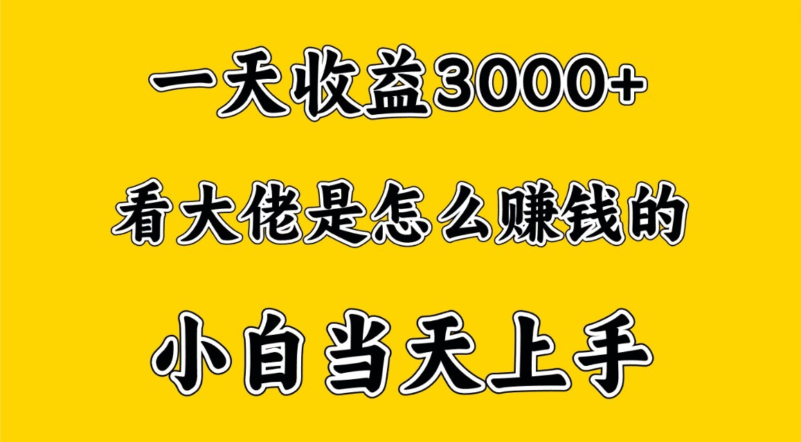 一天赚3000多，大佬是这样赚到钱的，小白当天上手，穷人翻身项目-立业有术