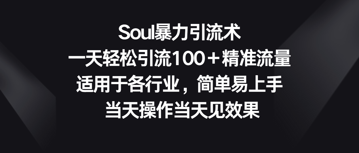 Soul暴力引流术，一天轻松引流100＋精准流量，适用于各行业，简单易上手！-立业有术