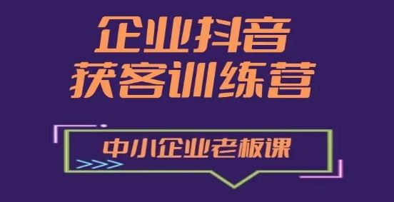 企业抖音营销获客增长训练营，中小企业老板必修课-立业有术