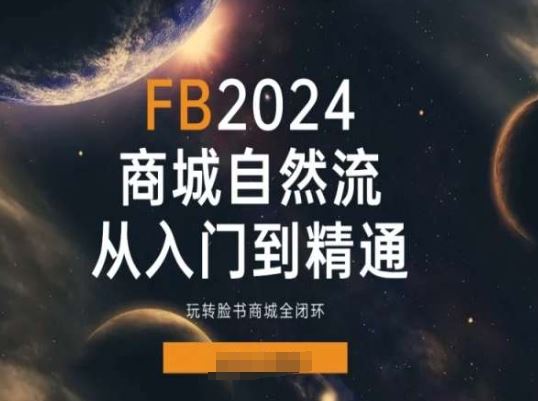 2024Faceboo商城自然流(从入门到精通)，玩转脸书商城全闭环-立业有术