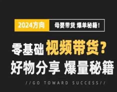 短视频母婴赛道实操流量训练营，零基础视频带货，好物分享，爆量秘籍-立业有术