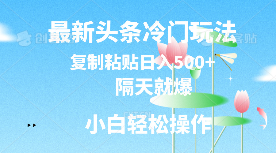 （11414期）最新头条冷门玩法，隔天就爆，复制粘贴日入500+-立业有术