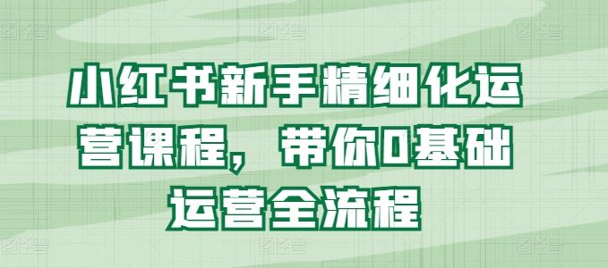 小红书新手精细化运营课程，带你0基础运营全流程-立业有术
