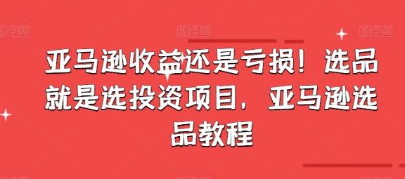 亚马逊收益还是亏损！选品就是选投资项目，亚马逊选品教程-立业有术