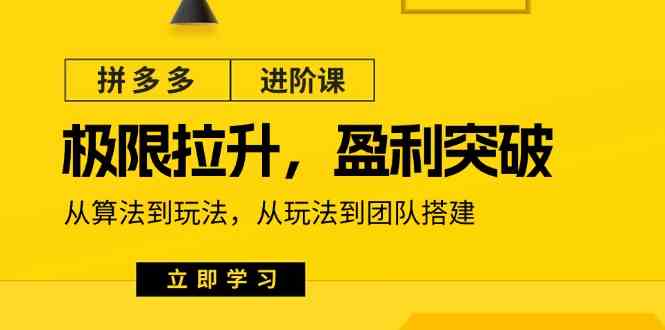 拼多多进阶课：极限拉升/盈利突破：从算法到玩法 从玩法到团队搭建（18节）-立业有术