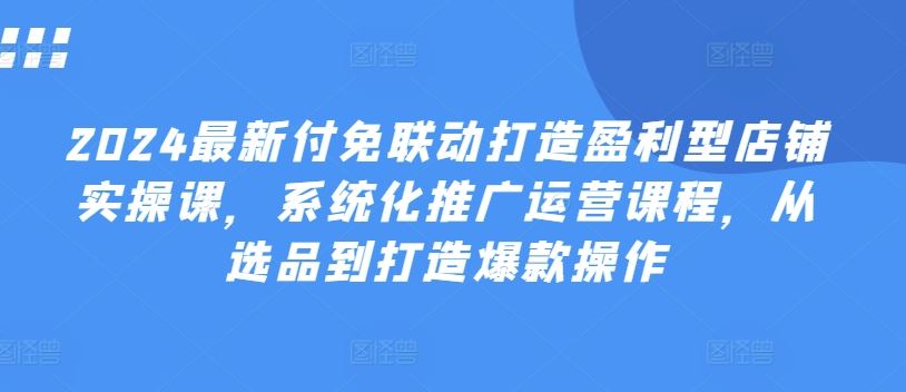 2024最新付免联动打造盈利型店铺实操课，​系统化推广运营课程，从选品到打造爆款操作-立业有术