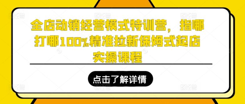 全店动销经营模式特训营，指哪打哪100%精准拉新保姆式起店实操课程-立业有术