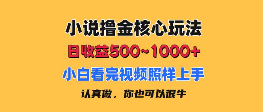 （11461期）小说撸金核心玩法，日收益500-1000+，小白看完照样上手，0成本有手就行-立业有术