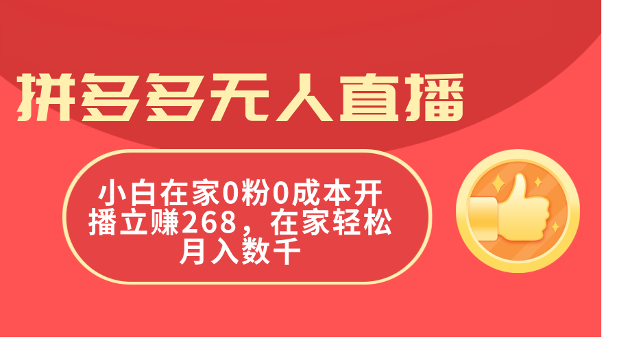 （11521期）拼多多无人直播，小白在家0粉0成本开播立赚268，在家轻松月入数千-立业有术