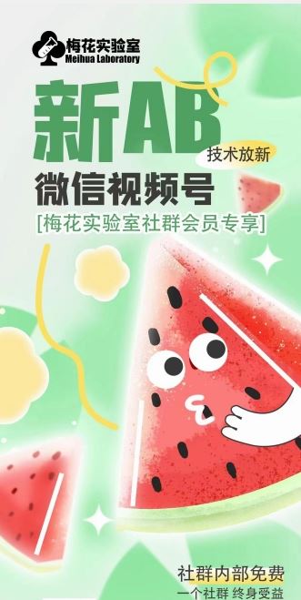 梅花实验室2024年AB技术视频号AB合成破解版-立业有术