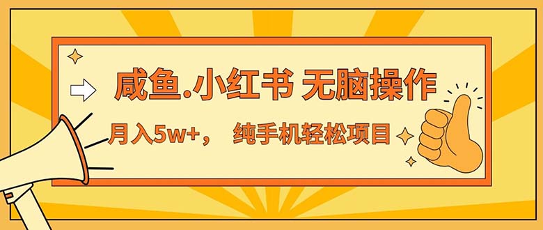 （11524期）2024最赚钱的项目，咸鱼，小红书无脑操作，每单利润500+，轻松月入5万+…-立业有术
