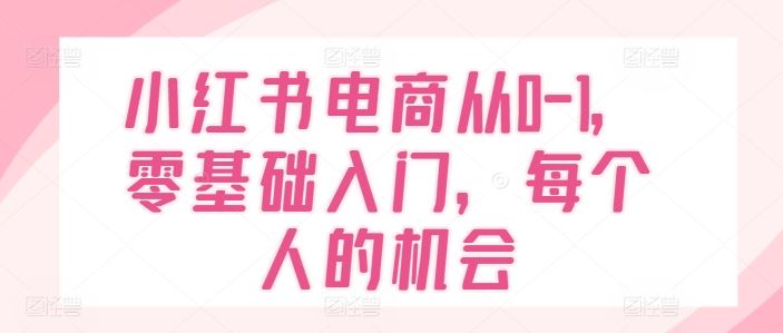 小红书电商从0-1，零基础入门，每个人的机会-立业有术