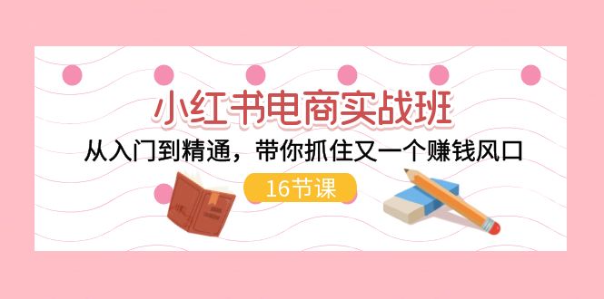 （11533期）小红书电商实战班，从入门到精通，带你抓住又一个赚钱风口（16节）-立业有术