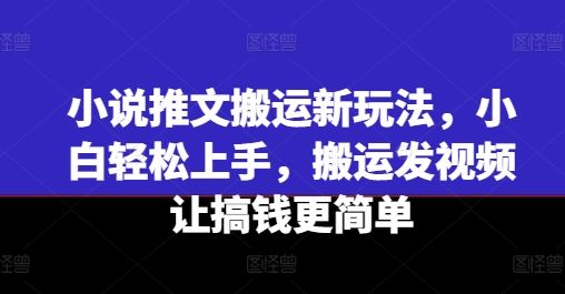 小说推文搬运新玩法，小白轻松上手，搬运发视频让搞钱更简单-立业有术
