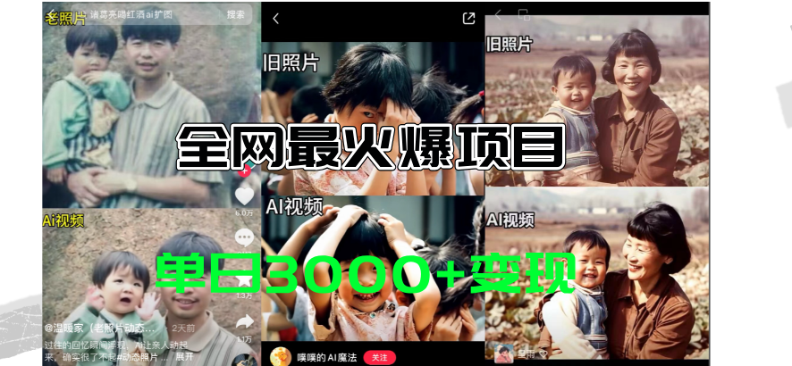 （11546期）全网爆火的AI让老照片动起来教程，蹭热点日赚3000+，内含免费工具一键…-立业有术