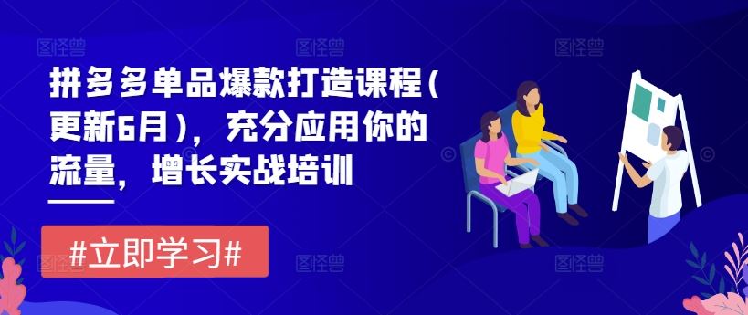 拼多多单品爆款打造课程(更新6月)，充分应用你的流量，增长实战培训-立业有术