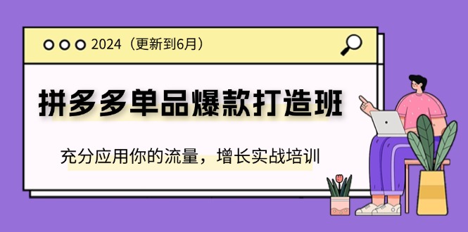 （11556期）2024拼多多-单品爆款打造班(更新6月)，充分应用你的流量，增长实战培训-立业有术