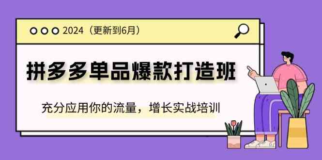 2024拼多多单品爆款打造班，充分应用你的流量，增长实战培训(更新6月)-立业有术