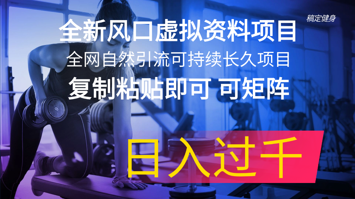 （11587期）全新风口虚拟资料项目 全网自然引流可持续长久项目 复制粘贴即可可矩阵…-立业有术