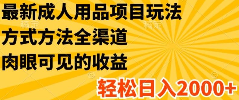 最新成人用品项目玩法，方式方法全渠道，轻松日入2K+【揭秘】-立业有术