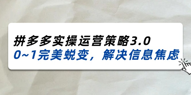 （11658期）2024_2025拼多多实操运营策略3.0，0~1完美蜕变，解决信息焦虑（38节）-立业有术